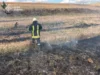 На Волині загасили дві пожежі сухої трави та локалізували займання торфу