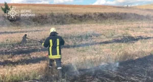 На Волині загасили дві пожежі сухої трави та локалізували займання торфу