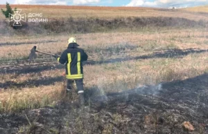 На Волині загасили дві пожежі сухої трави та локалізували займання торфу