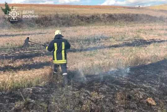 На Волині загасили дві пожежі сухої трави та локалізували займання торфу