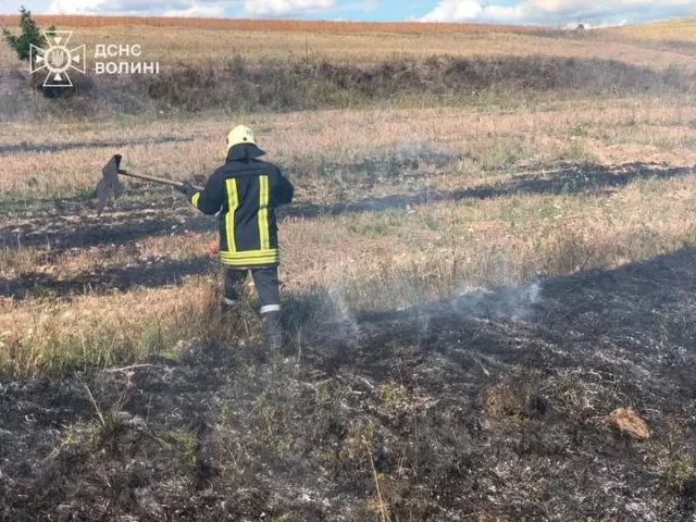 На Волині загасили дві пожежі сухої трави та локалізували займання торфу