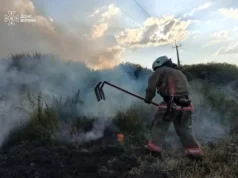 У Луцькому районі рятувальники загасили дві пожежі сухої трави