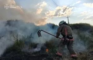 У Луцькому районі рятувальники загасили дві пожежі сухої трави
