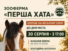 У Нововолинську на День міста працюватиме благодійна зооферма