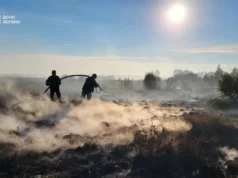 На Волині за добу ліквідували шість пожеж в екосистемах На Волині за добу ліквідували шість пожеж в екосистемах