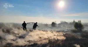На Волині за добу ліквідували шість пожеж в екосистемах