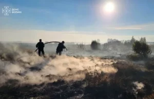 На Волині за добу ліквідували шість пожеж в екосистемах