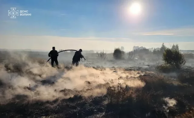 image На Волині за добу ліквідували шість пожеж в екосистемах