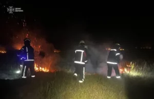 На Волині за дві доби загасили 8 пожеж сухої трави та чагарників