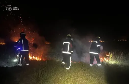 image На Волині за дві доби загасили 8 пожеж сухої трави та чагарників