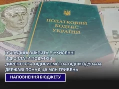 На Волині директорку підприємства звільнили від відповідальності після відшкодування понад 4,5 млн грн податків На Волині директорку підприємства звільнили від відповідальності після відшкодування понад 4,5 млн грн податків