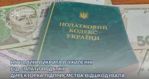 На Волині директорку підприємства звільнили від відповідальності після відшкодування понад 4,5 млн грн податків