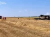 (Українська) Поблизу села Ружин у Ковельській громаді загорівся комбайн Поблизу села Ружин у Ковельській громаді загорівся комбайн