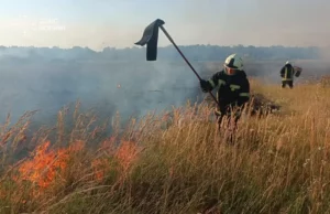 (Українська) На Волині за добу рятувальники загасили чотири пожежі в екосистемах На Волині за добу рятувальники загасили чотири пожежі в екосистемах