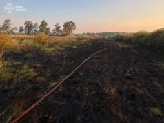 На Камінь-Каширщині рятувальники загасили пожежу торфу На Камінь-Каширщині рятувальники загасили пожежу торфу