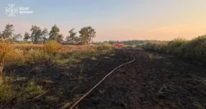 На Камінь-Каширщині рятувальники загасили пожежу торфу