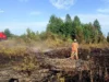На Волині за добу загасили три пожежі сухої трави та чагарників