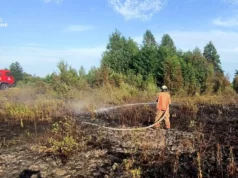 На Волині за добу загасили три пожежі сухої трави та чагарників