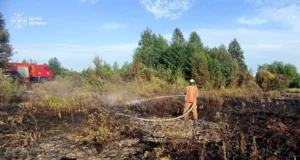 На Волині за добу загасили три пожежі сухої трави та чагарників
