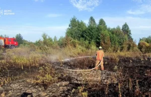 (Українська) На Волині за добу загасили три пожежі сухої трави та чагарників На Волині за добу загасили три пожежі сухої трави та чагарників