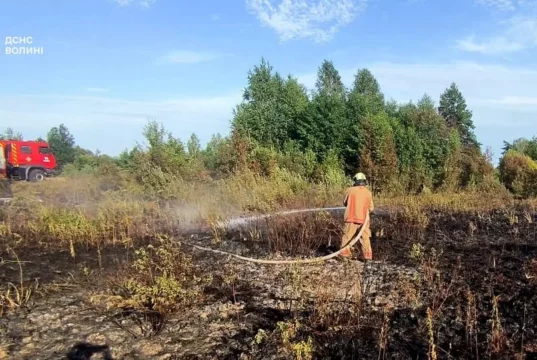 На Волині за добу загасили три пожежі сухої трави та чагарників