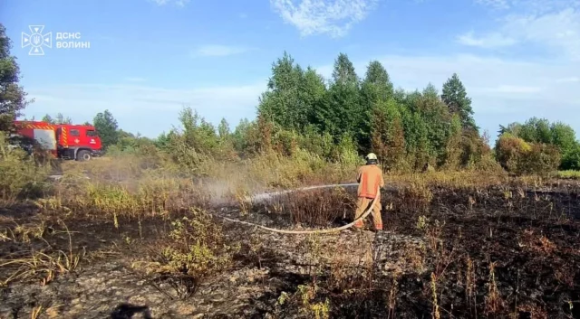 image На Волині за добу загасили три пожежі сухої трави та чагарників