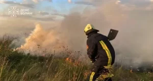 У Камінь-Каширському районі за добу загасили три пожежі сухої трави