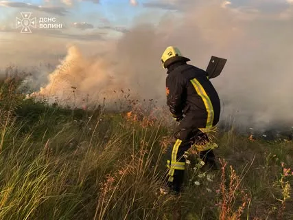 image У Камінь-Каширському районі за добу загасили три пожежі сухої трави