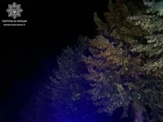 У Ковелі зупинили водія Nissan з 2,03 проміле алкоголю У Ковелі зупинили водія Nissan з 2,03 проміле алкоголю