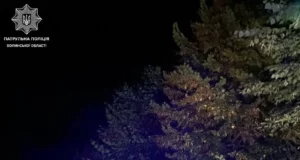 У Ковелі зупинили водія Nissan з 2,03 проміле алкоголю