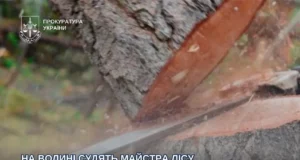 На Волині суд розглядає справу майстра лісу через загибель працівника