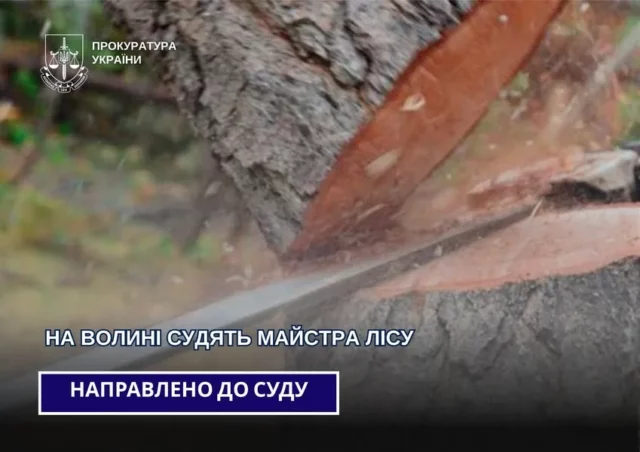 На Волині суд розглядає справу майстра лісу через загибель працівника