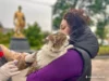 У Нововолинську та Благодатному безкоштовно вакцинуватимуть тварин від сказу У Нововолинську та Благодатному безкоштовно вакцинуватимуть тварин від сказу