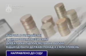 На Волині директорку підприємства підозрюють у шахрайстві з митними пільгами