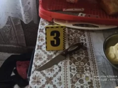 У селі Гірники 47-річна жінка поранила ножем свого чоловіка У селі Гірники 47-річна жінка поранила ножем свого чоловіка