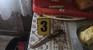 У селі Гірники 47-річна жінка поранила ножем свого чоловіка