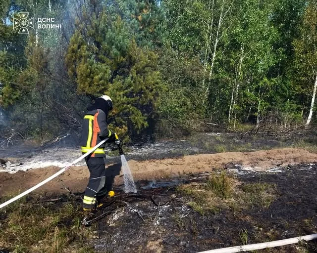 image На Волині за добу загасили три пожежі сухої рослинності