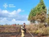 Поблизу села Судче гасять пожежу торфу на площі 1,8 гектара