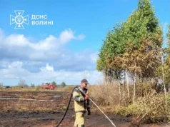 Поблизу села Судче гасять пожежу торфу на площі 1,8 гектара Поблизу села Судче гасять пожежу торфу на площі 1,8 гектара