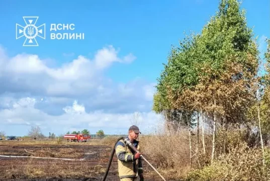 Поблизу села Судче гасять пожежу торфу на площі 1,8 гектара