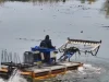 У Ковелі амфібія косить водяну рослинність на Турії У Ковелі амфібія косить водяну рослинність на Турії