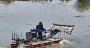 У Ковелі амфібія косить водяну рослинність на Турії