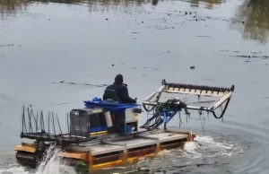 У Ковелі амфібія косить водяну рослинність на Турії