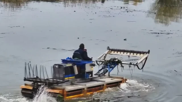 image У Ковелі амфібія косить водяну рослинність на Турії