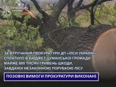 ДП «Ліси України» сплатило Цуманській громаді майже 800 тисяч гривень за незаконні порубки ДП «Ліси України» сплатило Цуманській громаді майже 800 тисяч гривень за незаконні порубки