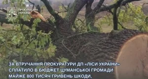 ДП «Ліси України» сплатило Цуманській громаді майже 800 тисяч гривень за незаконні порубки