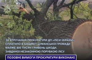 ДП «Ліси України» сплатило Цуманській громаді майже 800 тисяч гривень за незаконні порубки ДП «Ліси України» сплатило Цуманській громаді майже 800 тисяч гривень за незаконні порубки
