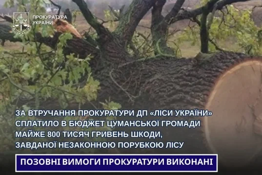 ДП «Ліси України» сплатило Цуманській громаді майже 800 тисяч гривень за незаконні порубки