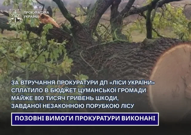 ДП «Ліси України» сплатило Цуманській громаді майже 800 тисяч гривень за незаконні порубки