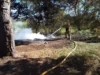 На Волині за день ліквідували три пожежі в екосистемах На Волині за день ліквідували три пожежі в екосистемах